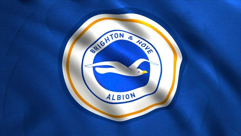 cau-lac-bo-bong-da-brighton-hove-albion